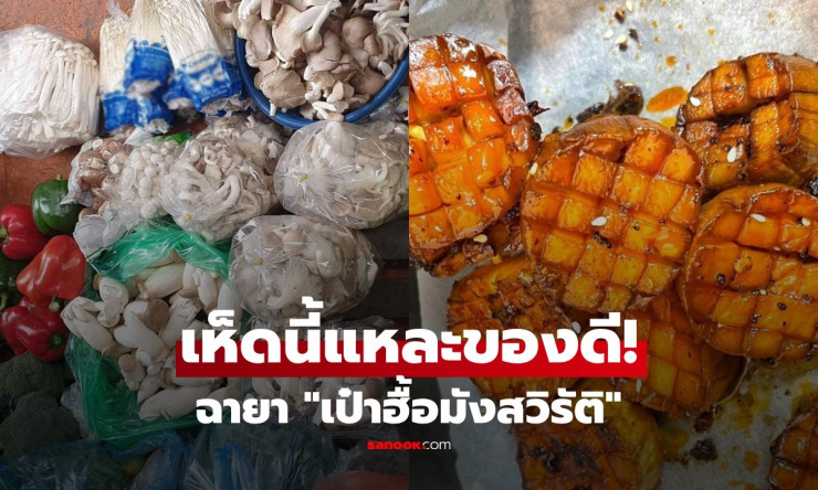 ไทยมีเกลื่อน! เห็ดฉายาเป๋าฮื้อมังสวิรัติ ล้ำค่าในราคาติดดิน กินเสริมภูมิ-หัวใจ-หลอดเลือด