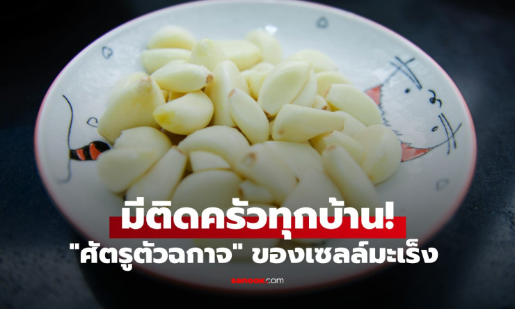 มีติดครัวทุกบ้าน! ศัตรูตัวฉกาจของเซลล์มะเร็ง ช่วยลดไขมันในเลือด-ลดความดัน