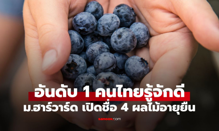 ช็อก! ม.ฮาร์วาร์ดเปิด 4 ผลไม้อายุยืน อันดับ1 คนไทยกินทุกวันแต่ไม่รู้ว่าช่วยยืนยาวขนาดนี้!