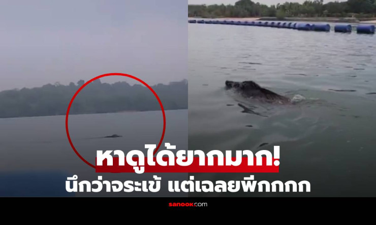 ช็อกทั้งกลุ่ม! พายเรือเจอ สัตว์ประหลาด ว่ายสวนหน้า กูรูเฉลยสุดพีค เจอยากยิ่งกว่าเจอหวย!