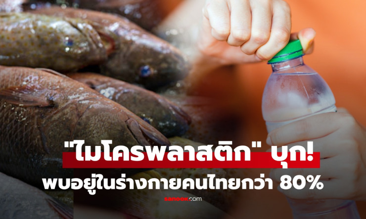 ช็อกทั้งประเทศ! ไมโครพลาสติกบุกทะลวงร่างกายคนไทย 80% ตัวการร้ายใกล้ตัวที่คุณกินทุกวัน ก่อนสายเกินแก้