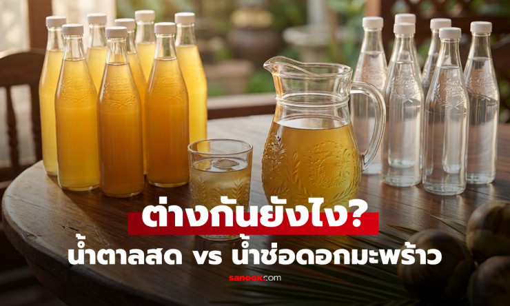 ไขข้อสงสัยให้ชัด! น้ำตาลสด กับ น้ำช่อดอกมะพร้าว ต่างกันยังไง แบบไหนใช่สำหรับคุณ?
