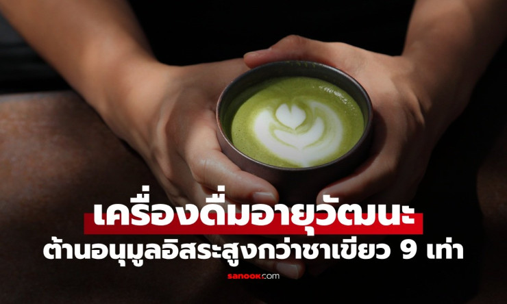 มัทฉะ เครื่องดื่มยาอายุวัฒนะญี่ปุ่น สารต้านอนุมูลอิสระสูงกว่าชาเขียวถึง 9 เท่า