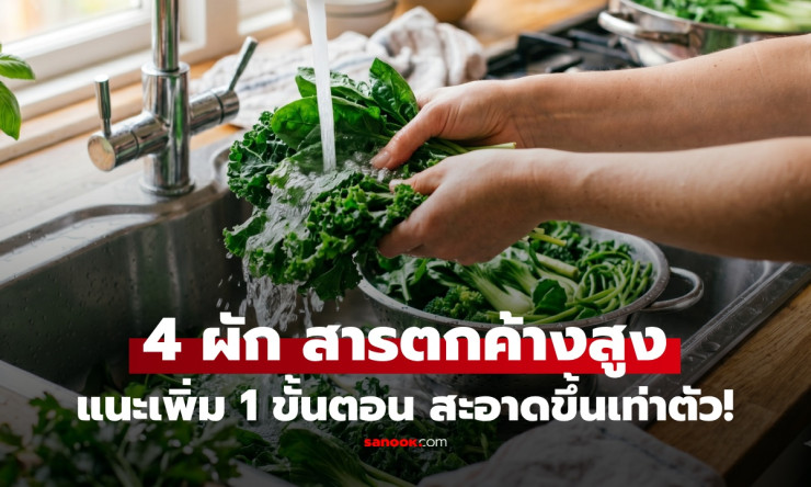 ช็อก! 4 ผักโปรดที่กินบ่อยสุด เต็มไปด้วยสารพิษตกค้าง เพิ่มแค่ 1 ขั้นตอน ล้างสะอาด 2 เท่า ปลอดภัย 100%