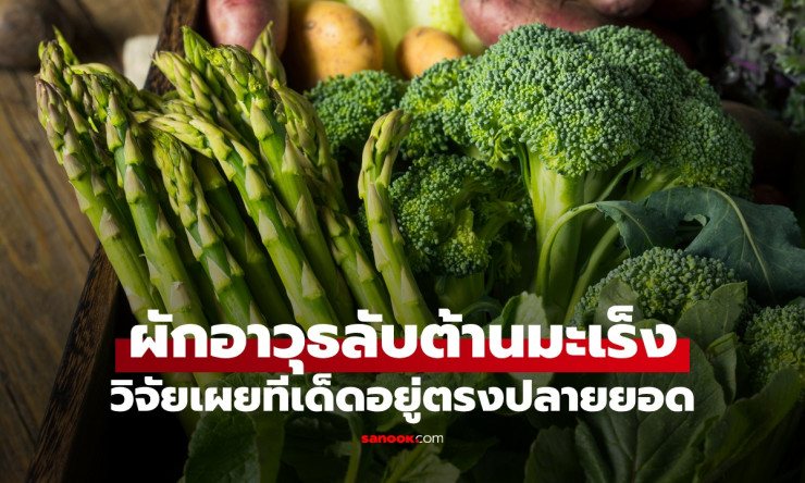 ช็อก! ปลายยอดหน่อไม้ฝรั่ง อาวุธลับถล่มมะเร็งล้ม โรคอ้วนหนีกระเจิง กินแล้วผอม สุขภาพปัง!