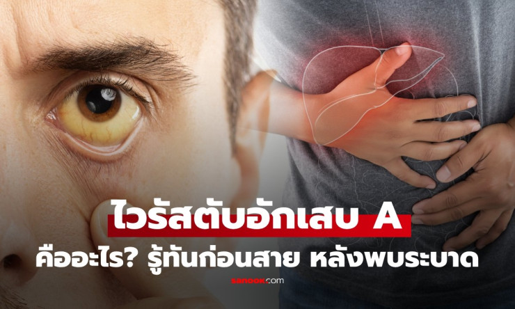 ???? คลัสเตอร์ไวรัสตับอักเสบ A ถล่มไทย! ป่วยพุ่ง 55 ราย รู้ทันก่อนเหลืองทั้งตัว-ตับพัง!
