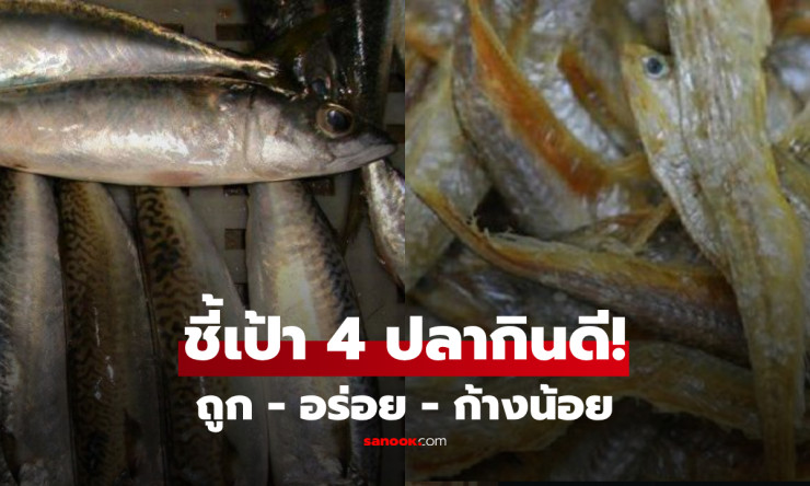 ถูกและดีมีจริง! 4 ปลาทะเลก้างน้อย เนื้อหวาน ไม่คาว อร่อยจนต้องขอเติมข้าว
