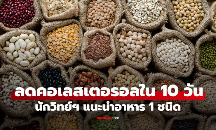 นักวิทยาศาสตร์ยืนยัน! อาหารถั่วช่วยลดคอเลสเตอรอลเร่งด่วน ภายใน 10 วัน
