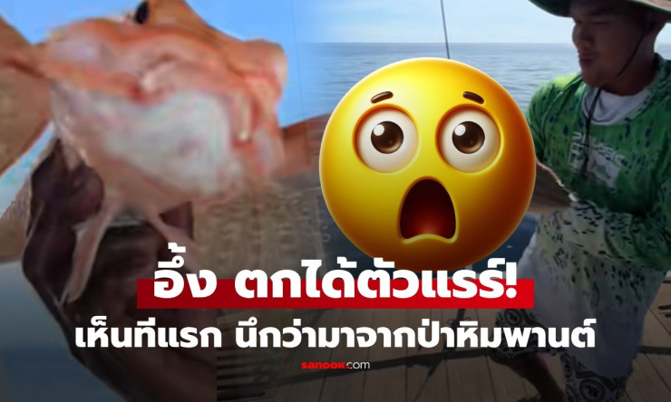 ชาวประมงแห่ว! ดึงเบ็ดขึ้นเจอสัตว์แปลกใต้ทะเลลึก ที่มีหน้าตาสวยแสนแปลก เหมือนตัวละครจากนิยายปัญญาศาสต