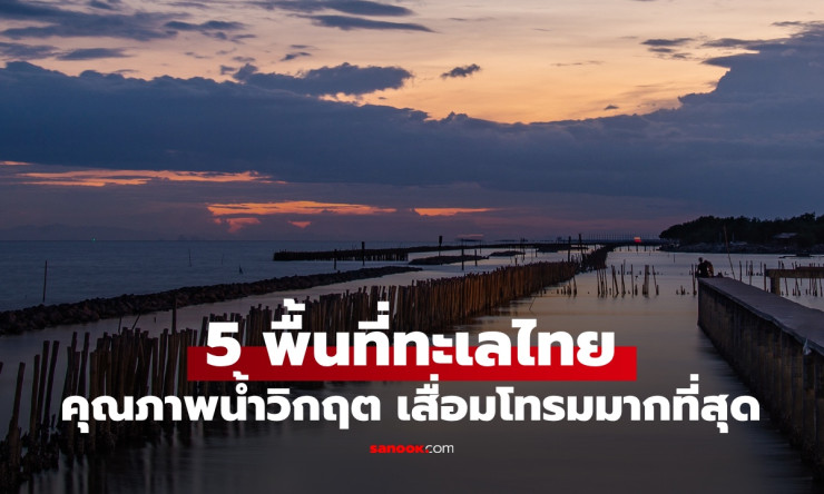 ห้ามลงน้ำ! 5 พื้นที่น้ำทะเลเสื่อมโทรมวิกฤตในไทย ปนเปื้อนหนัก ภัยต่อสุขภาพ