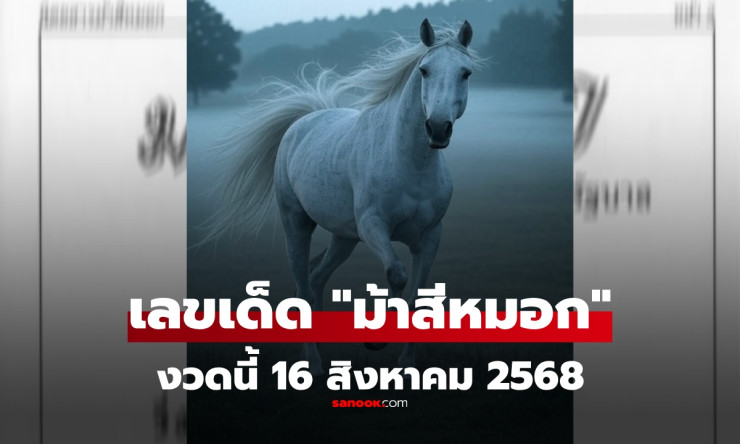 เลขเด็ดม้าสีหมอกงวดนี้ 16 สิงหาคม 2568 แนวทางหวยแม่น ๆ ที่คอหวยไม่ควรพลาด