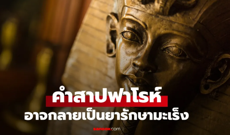 คำสาปฟาโรห์ที่คร่าชีวิตนักสำรวจสุสาน กลายเป็นความหวังใหม่ของการรักษามะเร็ง