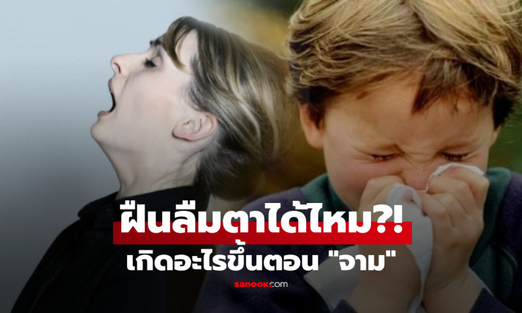 จามทีเดียว พุ่งแรง 160 กม./ชม.! ทำไมตาถึงปิดวูบทุกที? ลองฝืนเปิดดู จะเกิดเรื่องอะไรขึ้น?
