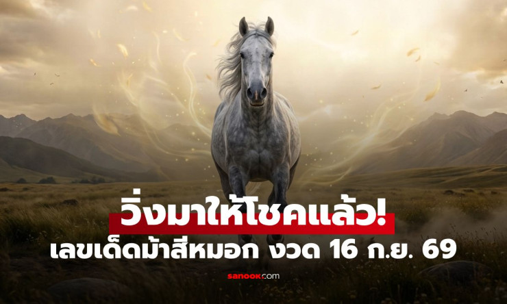 มาแล้ว! เลขเด็ดม้าสีหมอก งวด 16/9/69 เปิดแนวทางเลขเด่น-เลขวิ่ง คอหวยรีบส่องก่อนลุ้น