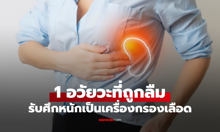 อวัยวะลึกลับใต้ซี่โครง! ตัวกรองเลือดสุดแกร่ง ต่อสู้เชื้อโรคเงียบๆ ไม่เคยบ่น เห็นแล้วต้องร้องว้าว!
