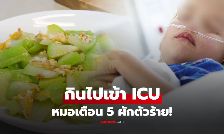 ยายล้มทั้งยืน หลานเข้า ICU! 5 ผักมรณะที่ซ่อนพิษทำลายตับไตในครัวของคุณ