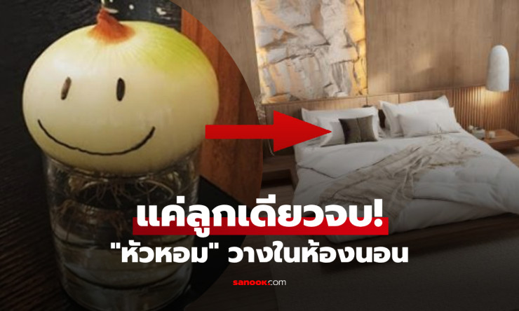 ช็อก! วางหอมหัวใหญ่ใกล้หมอนคืนเดียว นอนหลับลึก สุขภาพพุ่งปรี๊ด เรื่องจริงไม่ใช่แค่ตำนาน!