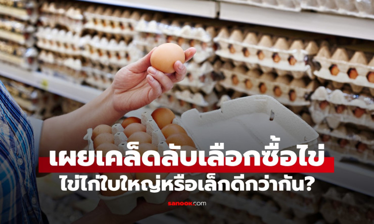 ช็อก! ไข่ไก่ฟองเล็กชนะน็อคฟองใหญ่? ร้านดัง 76 ปี เปิดเผยเคล็ดลับวงในที่คนซื้อไม่เคยรู้!
