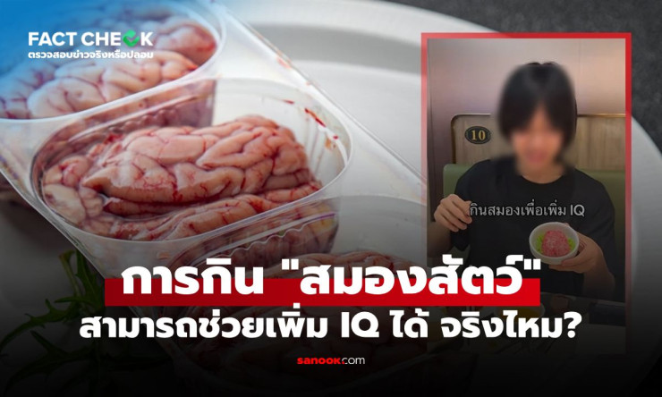 เช็กด่วน! กิน “สมองสัตว์” แล้ว IQ เพิ่มจริงไหม เปิดข้อเท็จจริงก่อนหลงเชื่อ