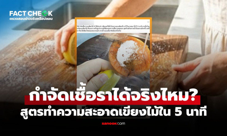 เช็กแล้วไม่จริงทั้งหมด! สูตรล้างเขียงไม้ 5 นาทีด้วยน้ำร้อน เกลือ มะนาว กำจัดเชื้อราได้แค่ไหน?