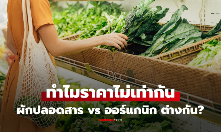 ผักปลอดสาร VS ผักออร์แกนิก ต่างกันยังไง? อ่านจบรู้เลย แบบไหนปลอดภัยกว่าที่คุณควรเลือกซื้อ