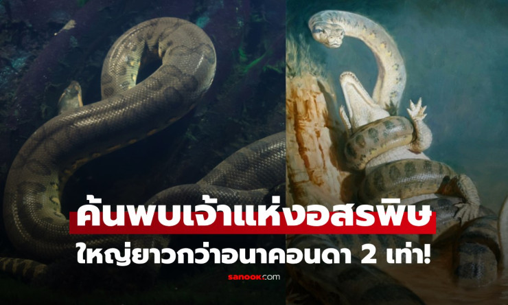 ???? งูยักษ์โบราณยาว 10 เมตร! ใหญ่กว่าอนาคอนดา 2 เท่า นักวิทย์ยังตัวสั่นไม่หาย
