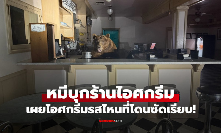เรื่องจริงไม่ใช่โฆษณา! หมียักษ์บุกกินไอศกรีมร้านดัง คลั่งไคล้รสสตรอว์เบอร์รีสุดใจ