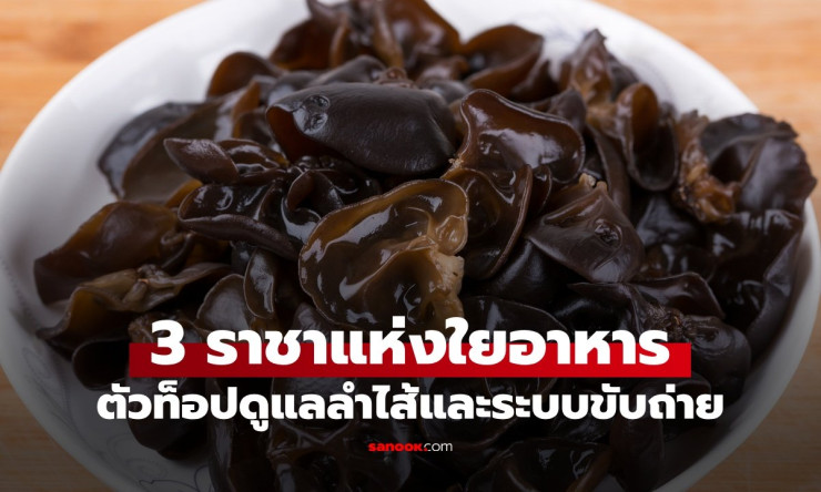 เปิดลิสต์ 3 ราชาแห่งใยอาหาร! ตัวท็อปดูแลลำไส้ ขับถ่ายคล่อง สุขภาพดีจากธรรมชาติ