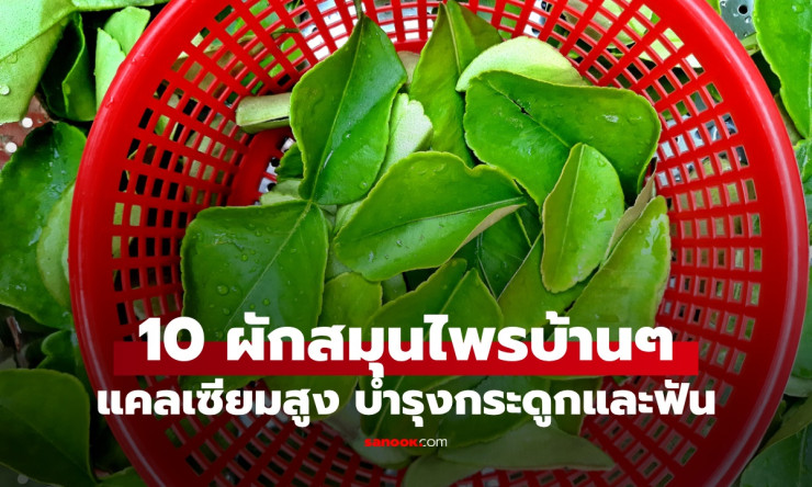 10 ผักสมุนไพรบ้านๆ แคลเซียมสูงไม่แพ้นม เสริมกระดูกและฟันให้แข็งแรง