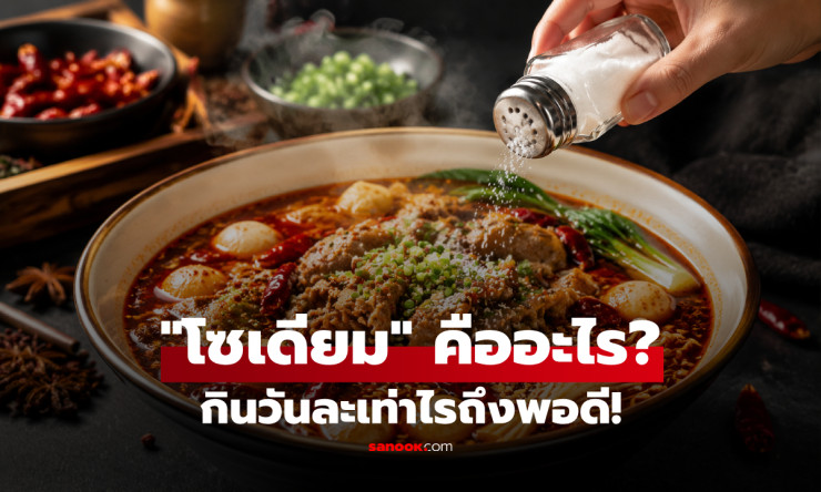 โซเดียมคืออะไร? ไขคำตอบทำไมใส่แล้วอร่อย พร้อมตัวเลขกินต่อวันแค่ไหนถึงไม่เสี่ยง