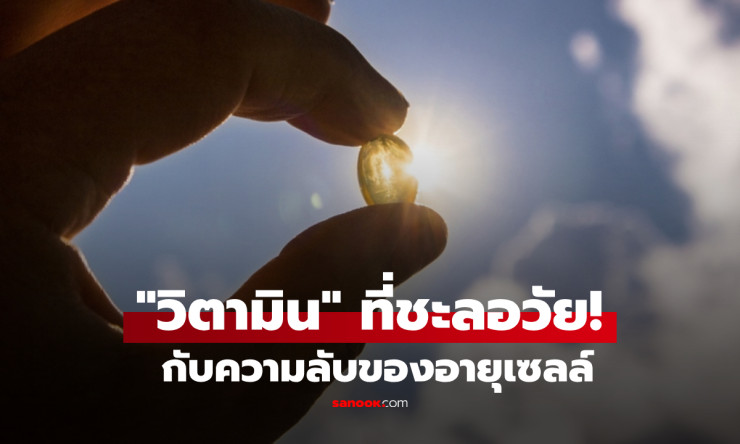 วิจัยใหม่อเมริกา ยืนยันวิตามินดี ช่วยชะลอความแก่ รักษาเซลล์ไม่เสื่อมเร็ว