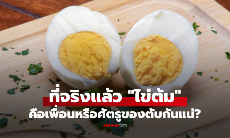 หมอเฉลยชัด! กินไข่ต้มทุกวัน ดีหรือร้ายต่อตับและสุขภาพอย่างไร?