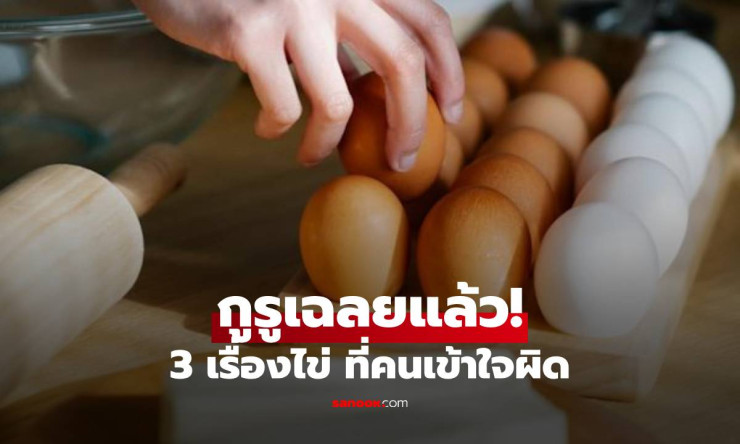 ช็อก! ไข่แดงดีกว่าขาว? กินดิบผมร่วงจริงมั้ย? 3 ความเชื่อผิดๆ ที่คุณต้องรีบเช็ก ก่อนสายเกินแก้!