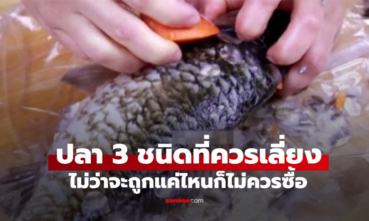 ไปตลาดเจอปลา 3 ชนิดนี้ ให้เลี่ยงทันที ไม่ว่าจะถูกแค่ไหนก็ไม่ควรซื้อ