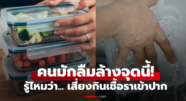 จุดเล็กๆ ในกล่องใส่อาหารที่คนมักลืมล้าง เสี่ยงกินเชื้อราและสารอันตรายสะสม