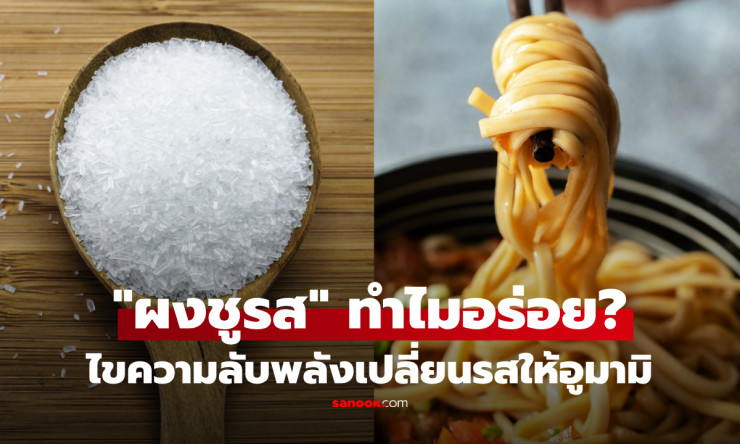 เปิดความลับผงชูรส! ทำไมชิมเปล่าๆ ไม่อร่อย แต่พอใส่อาหารกลับกลมกล่อมจนหยุดเติมไม่ได้