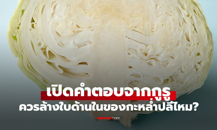 ควรล้างใบด้านในกะหล่ำปลีไหม? กูรูเฉลยล้างถูกวิธีไม่เสียวิตามินซี!