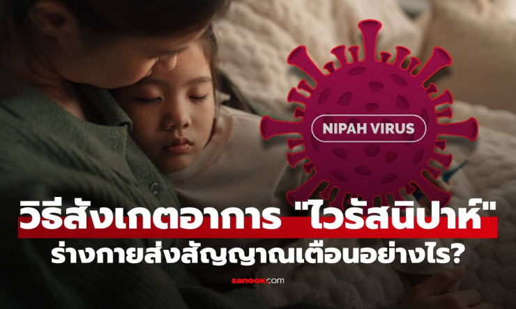 สัญญาณเตือนร้าย! ไวรัสนิปาห์เริ่มจากไข้หวัด แต่พุ่งสู่สมองอักเสบ-ตาย 40-70% ต้องรู้ทัน