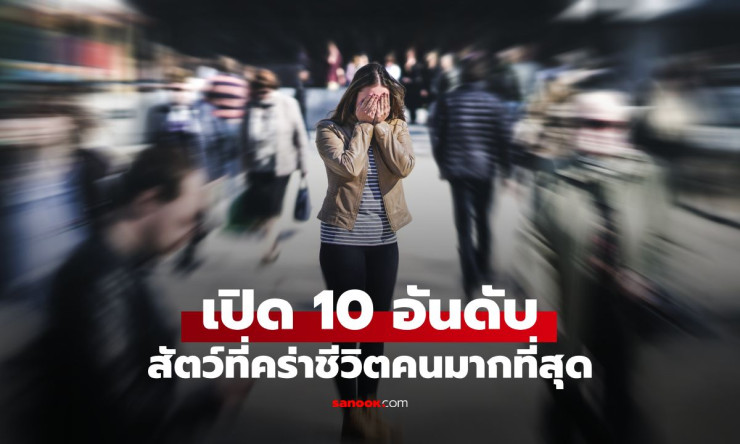 10 อันดับสัตว์ที่ฆ่ามนุษย์มากที่สุด: ตัวเลขสุดช็อกที่ใกล้ตัวกว่าที่คิด!