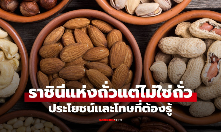 แมคคาเดเมีย ราชินีแห่งถั่วที่ไม่ใช่ถั่ว ประโยชน์และโทษที่ควรรู้