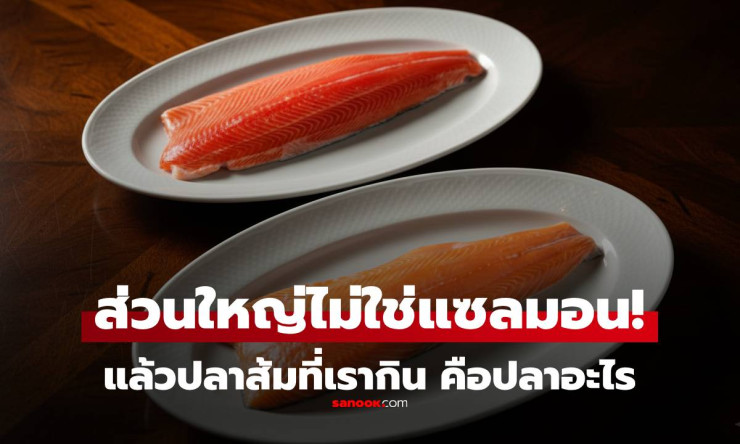 รู้ไหม? ปลาดิบสีส้มในร้านบุฟเฟต์ส่วนใหญ่ไม่ใช่แซลมอน แท้จริงคือปลาเทราต์!