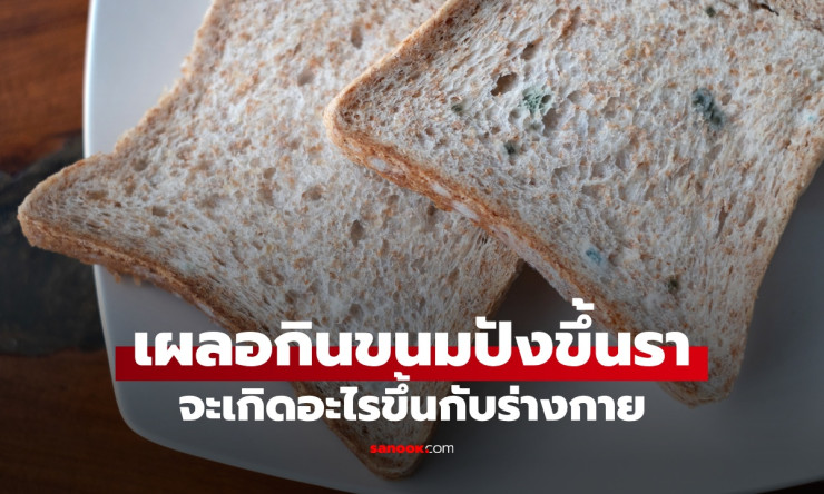 ขนมปังหมดอายุยังกินได้ไหม? เผลอกินขนมปังขึ้นรา เช็กอาการด่วน แบบไหนต้องไปหาหมอ