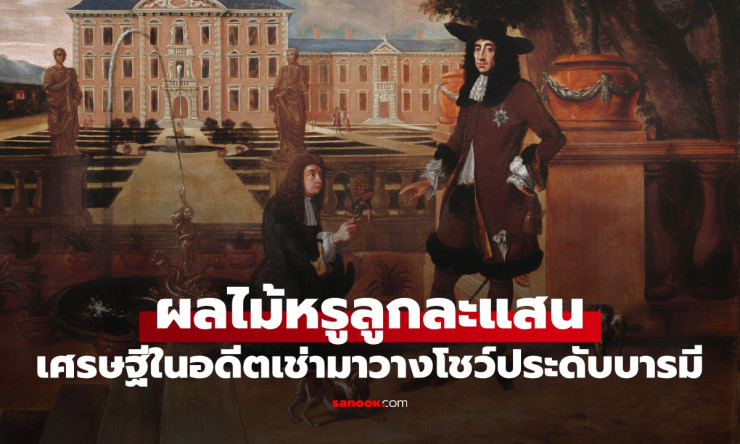 สับปะรดหลักแสน! เศรษฐียุโรปเช่ามาโชว์หรู สู่ผลไม้รถเข็นหลักสิบ คนไทยกินเพลินทุกบ้าน