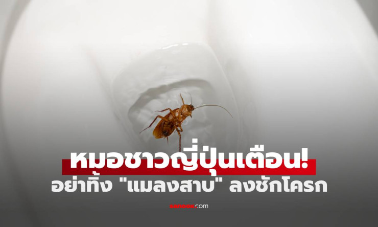 หมอญี่ปุ่นเตือน! ห้ามทิ้งแมลงสาบลงชักโครก เสี่ยงเจอ 2 ผลลัพธ์สุดสยอง
